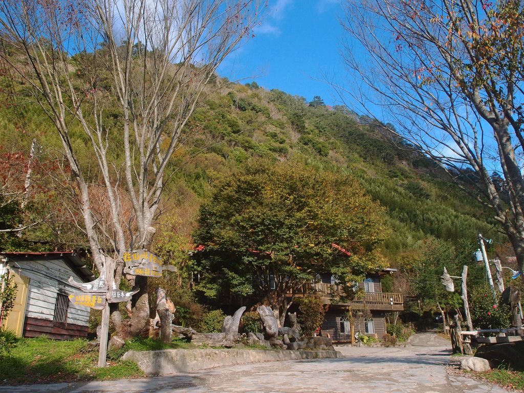 PC203267.JPG PC203267.JPG