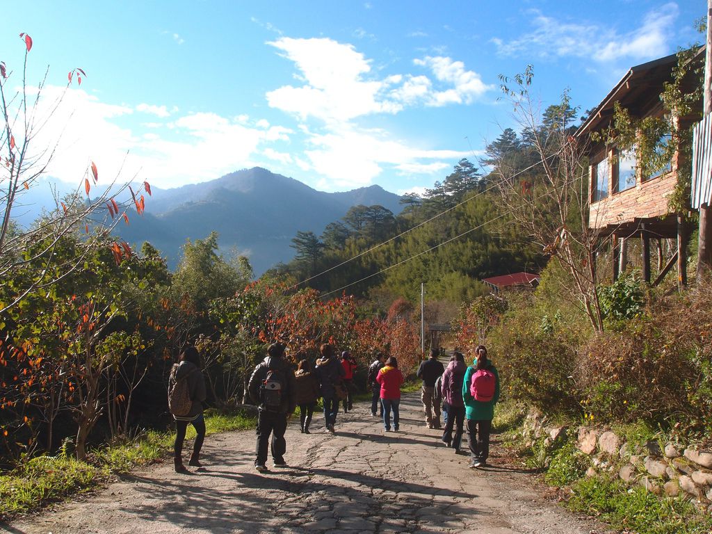 PC203270.JPG PC203270.JPG