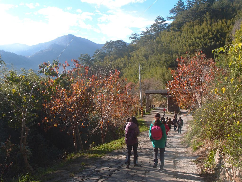 PC203273.JPG PC203273.JPG