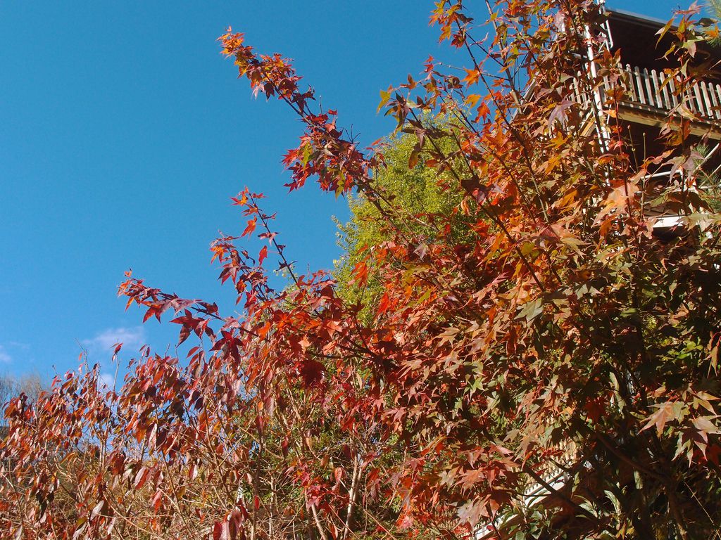 PC203275.JPG PC203275.JPG