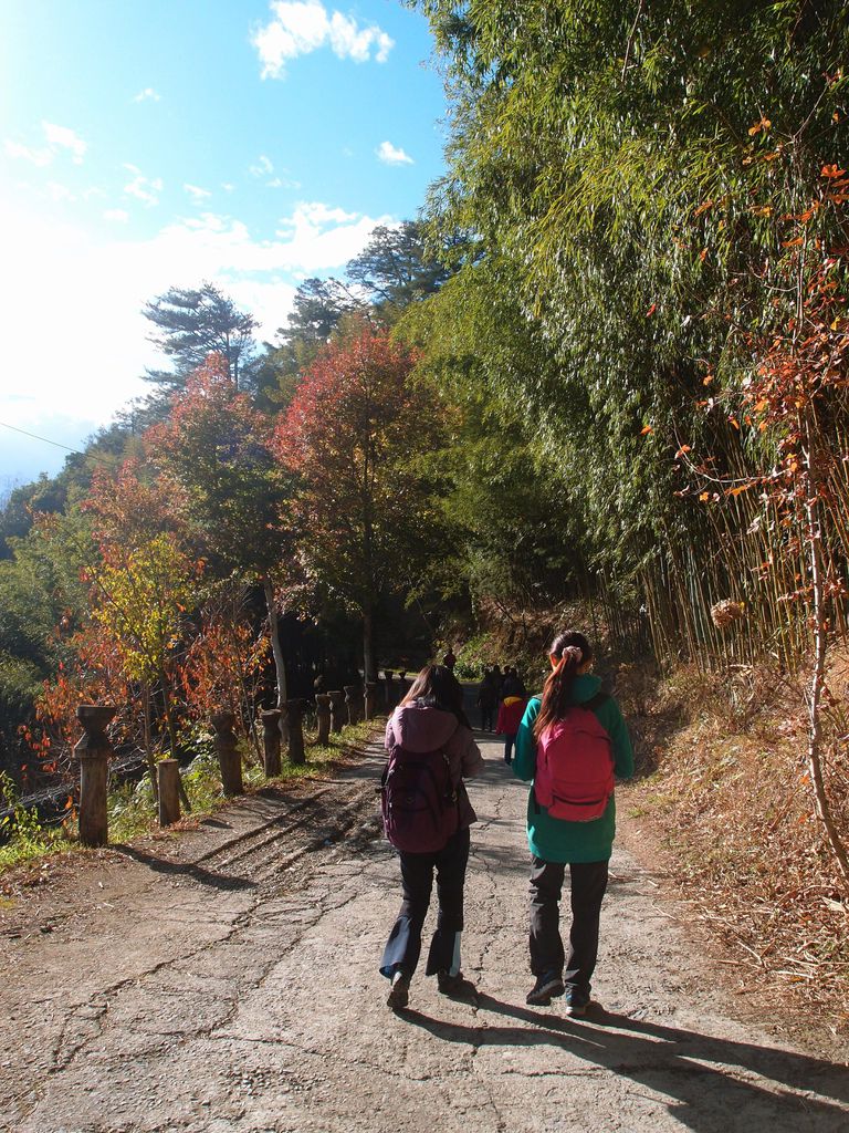 PC203286.JPG PC203286.JPG