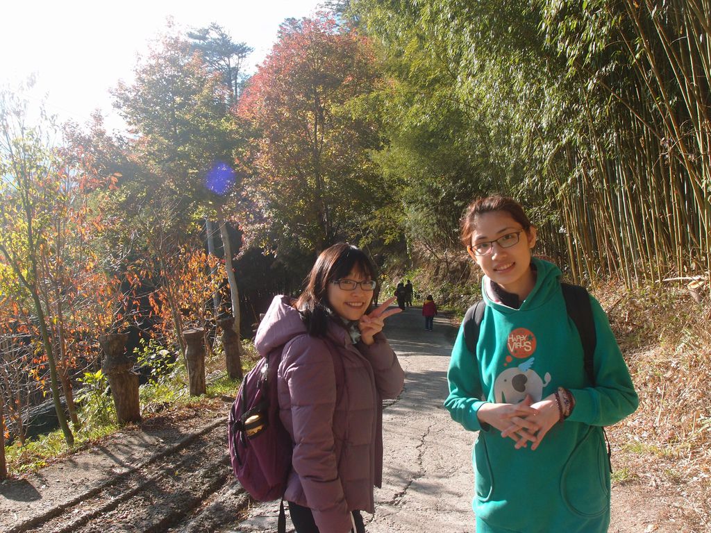 PC203287.JPG PC203287.JPG