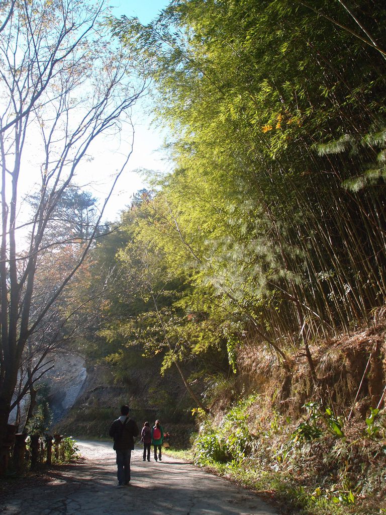 PC203291.JPG PC203291.JPG