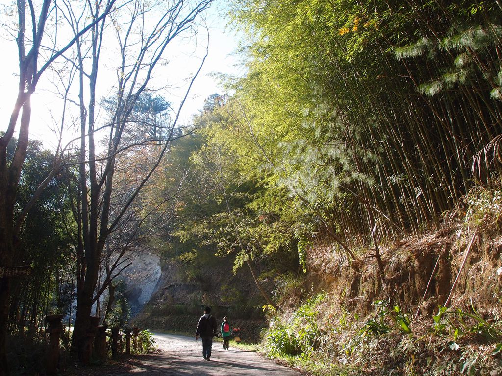 PC203292.JPG PC203292.JPG