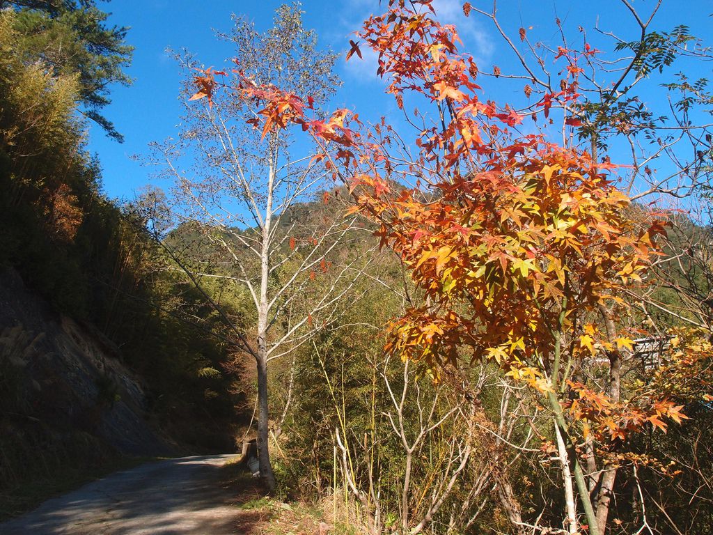 PC203299.JPG PC203299.JPG