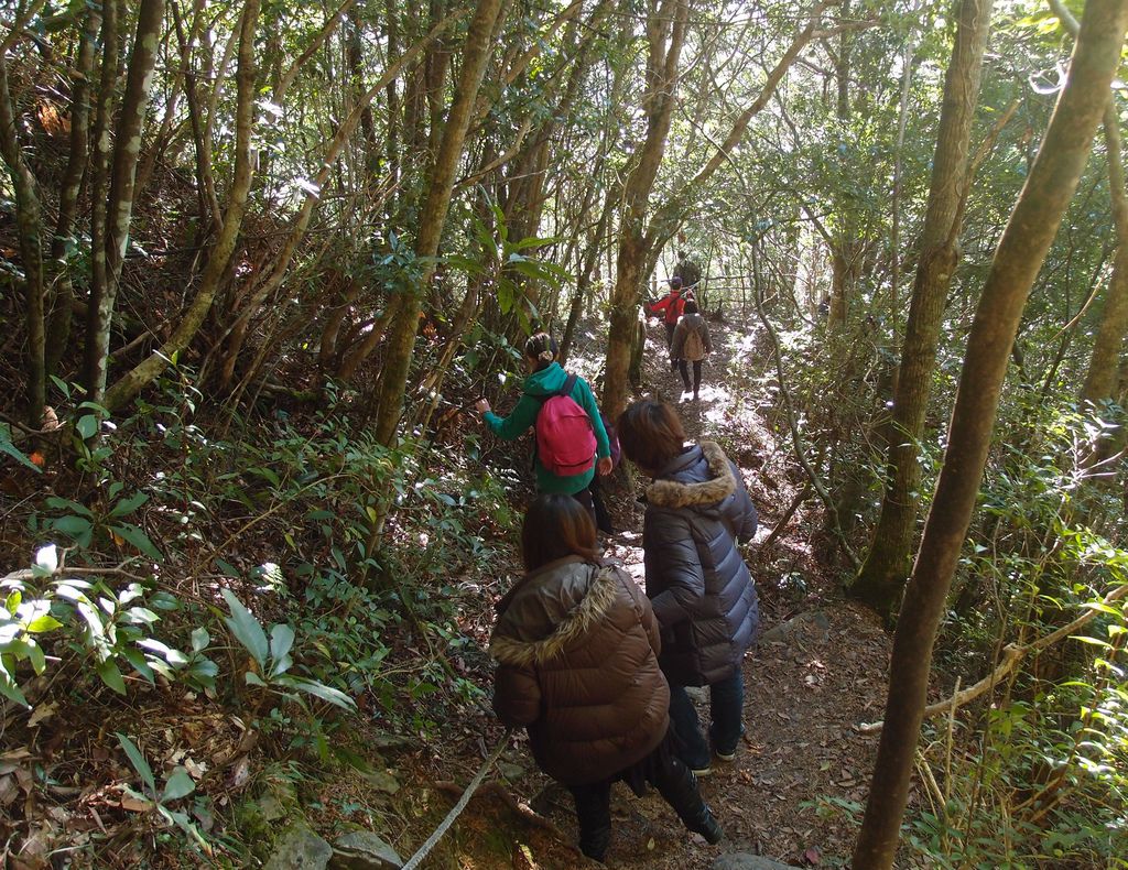 PC203308.JPG PC203308.JPG