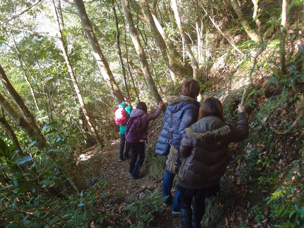 PC203309.JPG PC203309.JPG