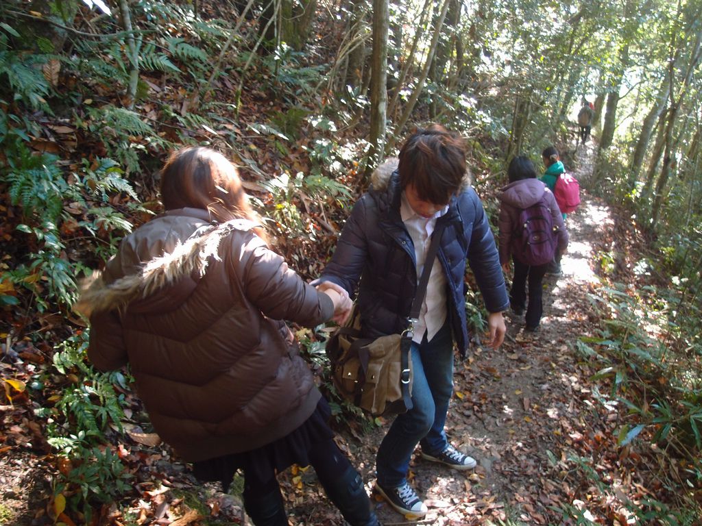 PC203311.JPG PC203311.JPG