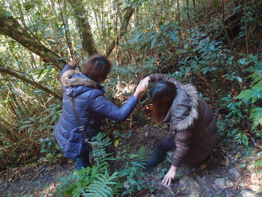 PC203314.JPG PC203314.JPG