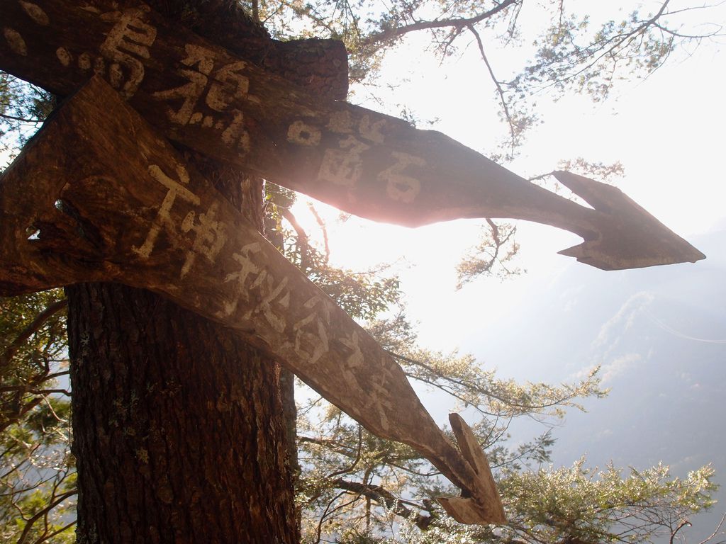 PC203322.JPG PC203322.JPG