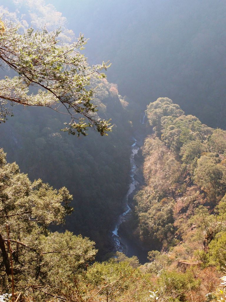 PC203341.JPG PC203341.JPG