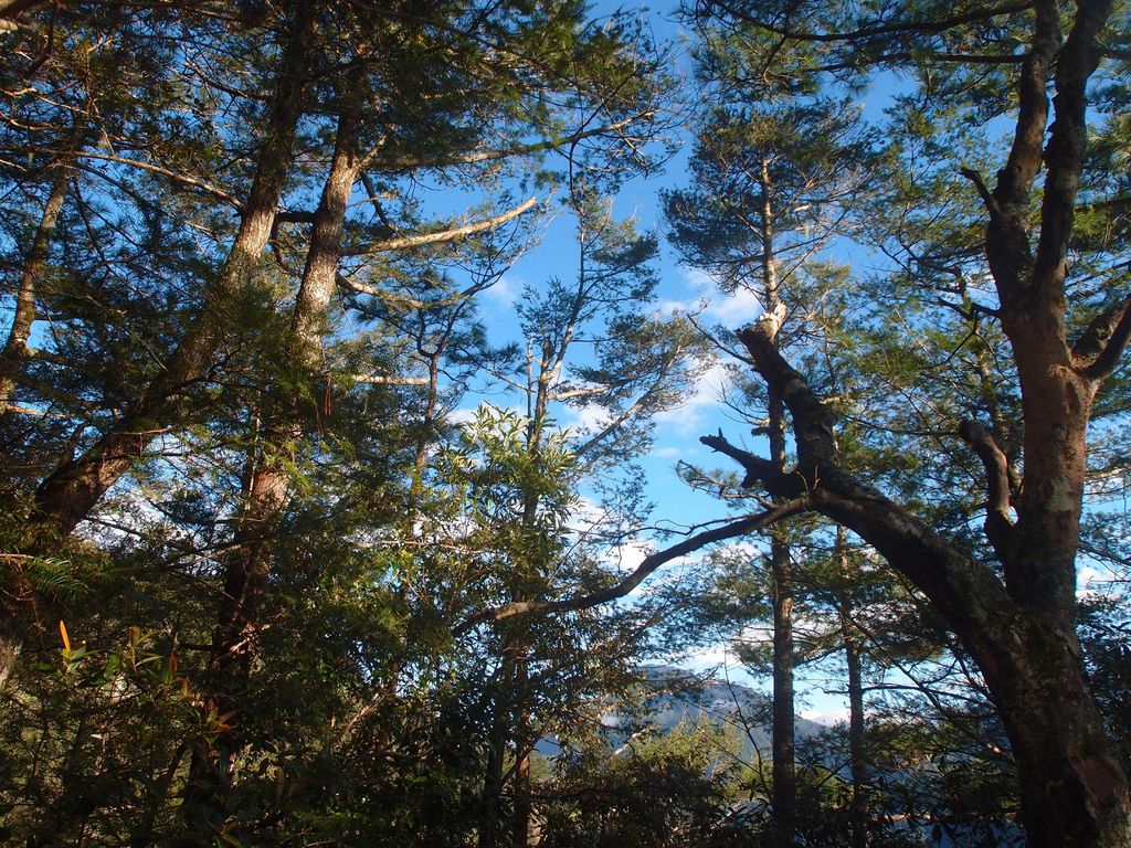 PC203343.JPG PC203343.JPG