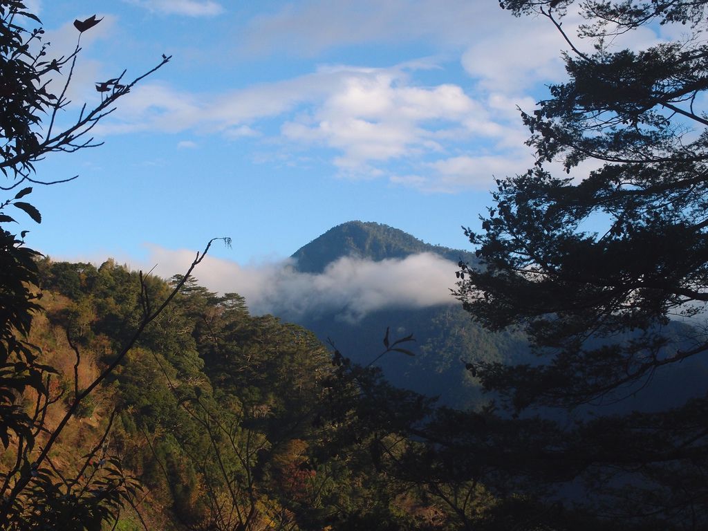 PC203360.JPG PC203360.JPG