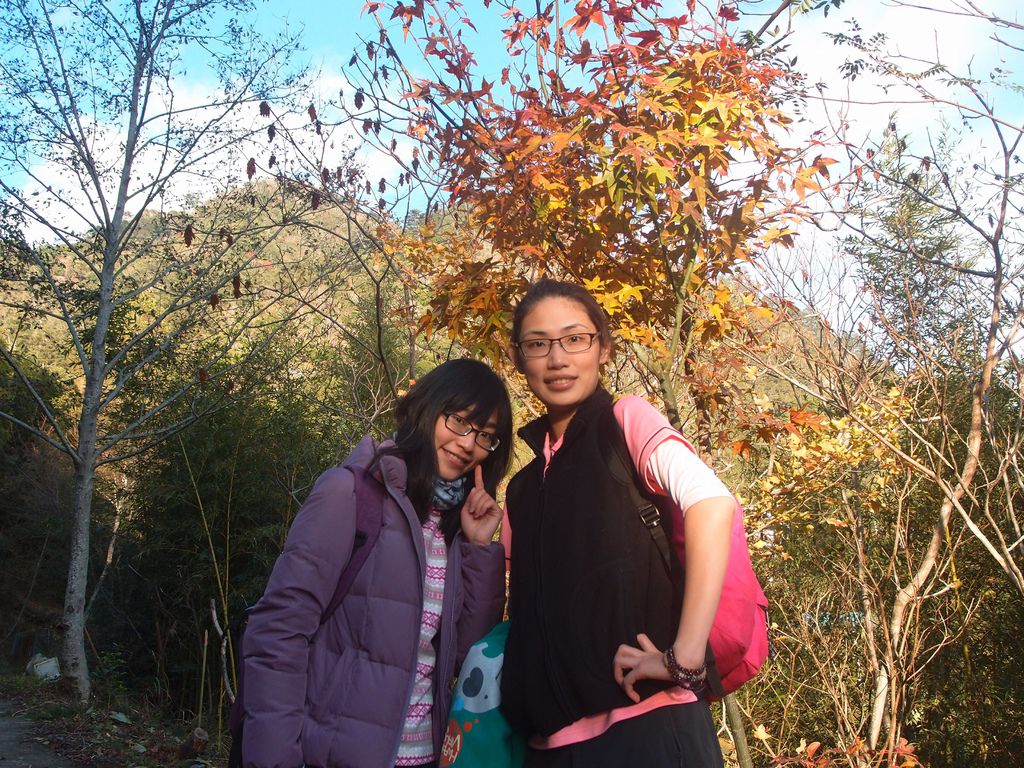 PC203375.JPG PC203375.JPG