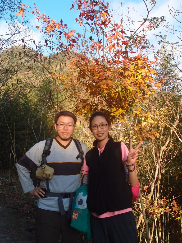 PC203377.JPG PC203377.JPG