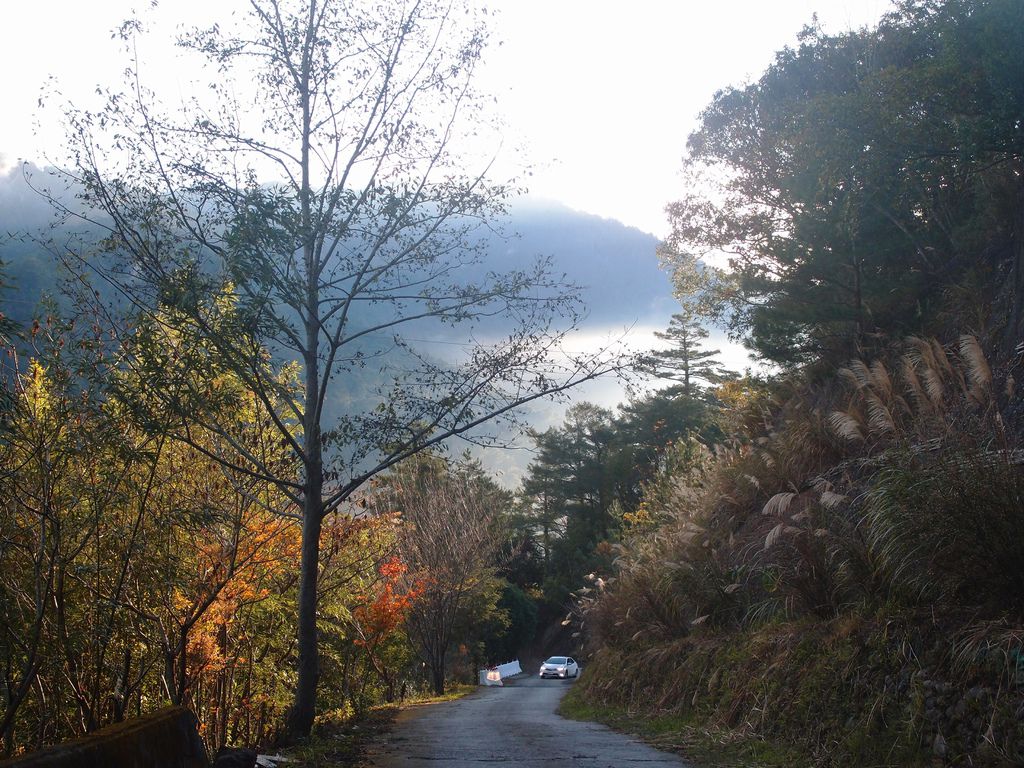 PC203386.JPG PC203386.JPG