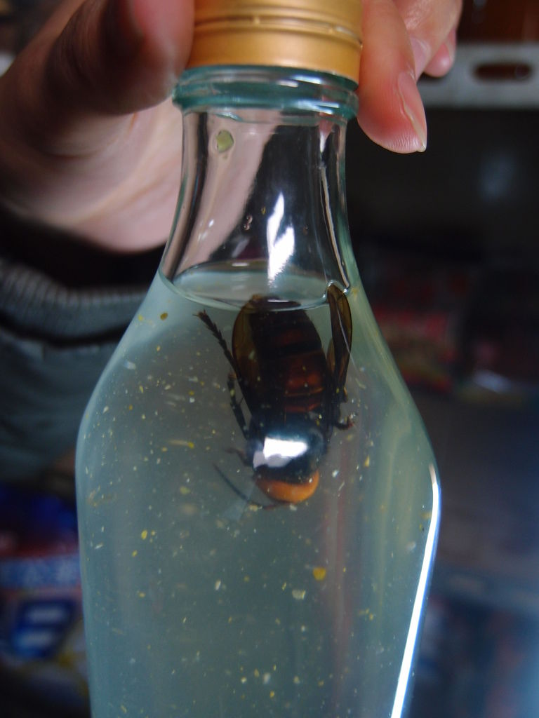 PC203480.JPG PC203480.JPG