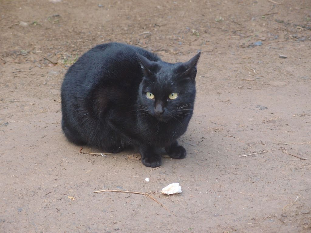 PC213505.JPG PC213505.JPG