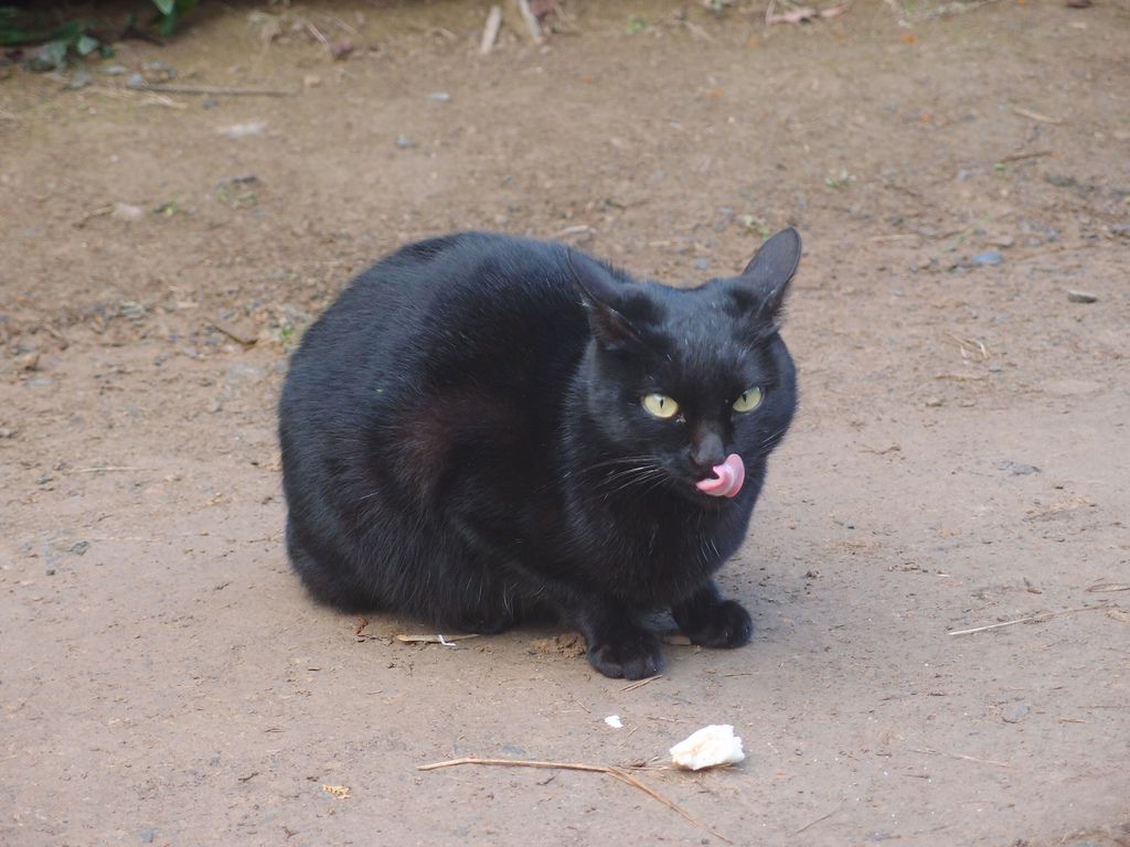 PC213508.JPG PC213508.JPG