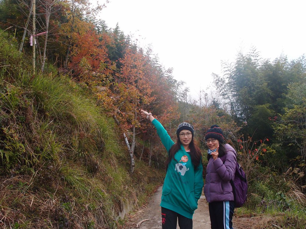 PC213518.JPG PC213518.JPG