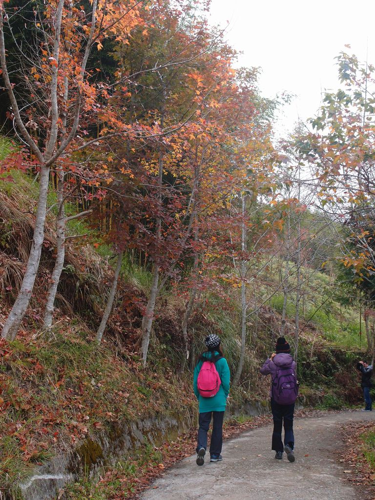 PC213519.JPG PC213519.JPG