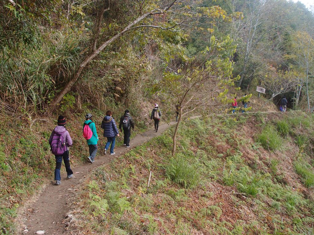 PC213540.JPG PC213540.JPG