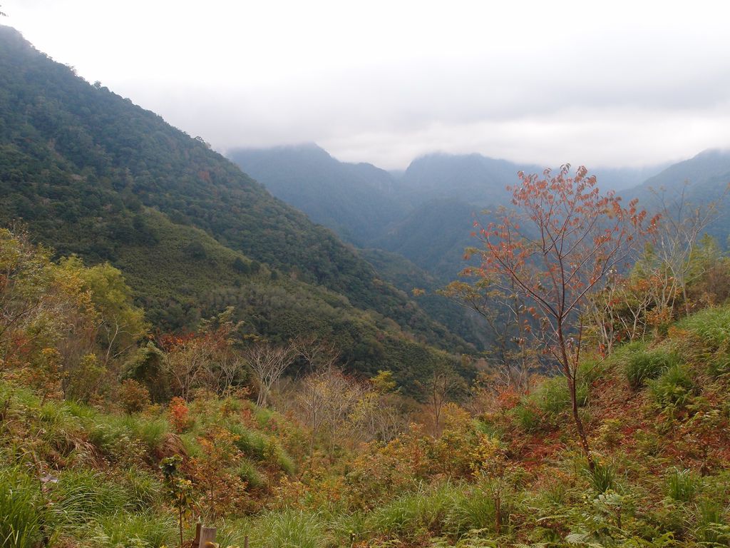 PC213543.JPG PC213543.JPG