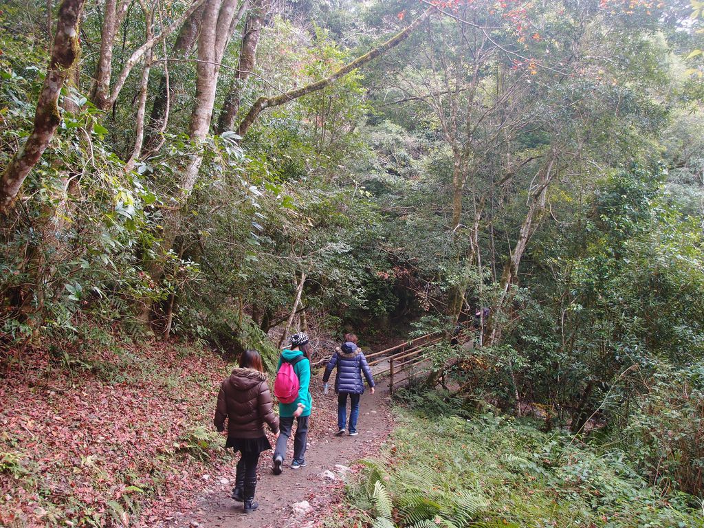 PC213567.JPG PC213567.JPG