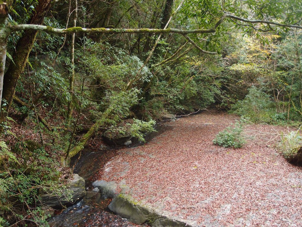 PC213570.JPG PC213570.JPG