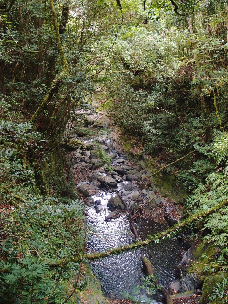 PC213587.JPG PC213587.JPG