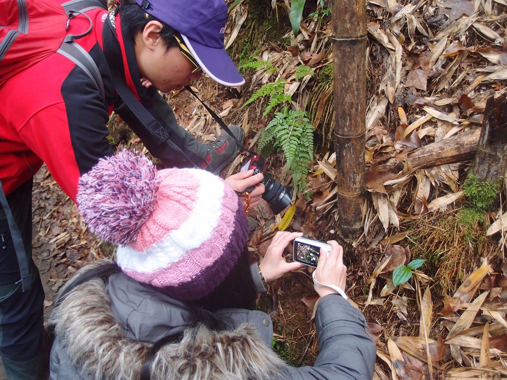 PC213588.JPG PC213588.JPG