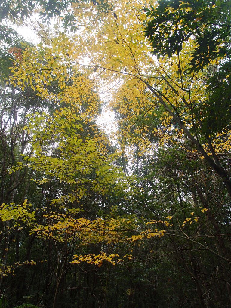 PC213609.JPG PC213609.JPG