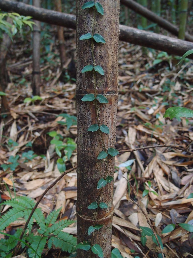 PC213614.JPG PC213614.JPG