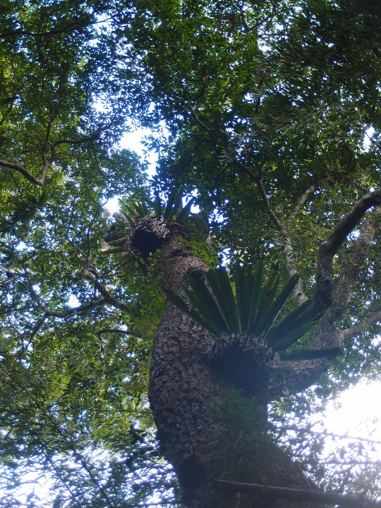 PC213617.JPG PC213617.JPG