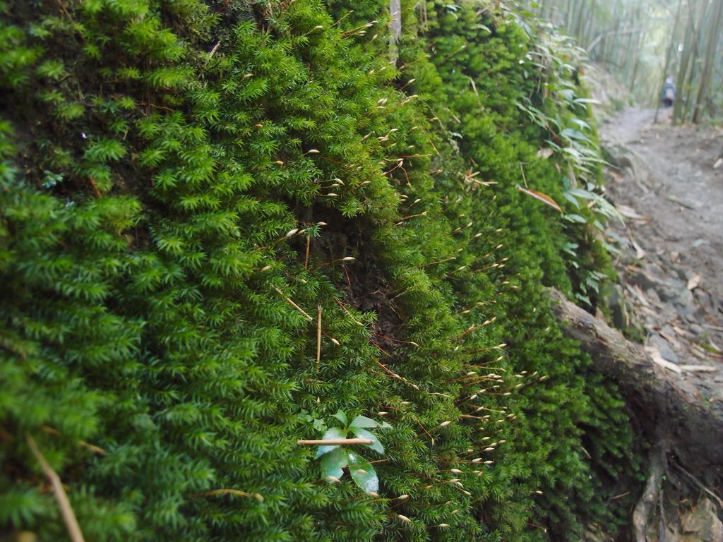 PC213620.JPG PC213620.JPG