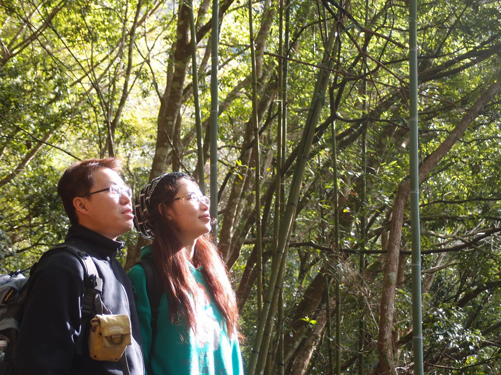 PC213623.JPG PC213623.JPG