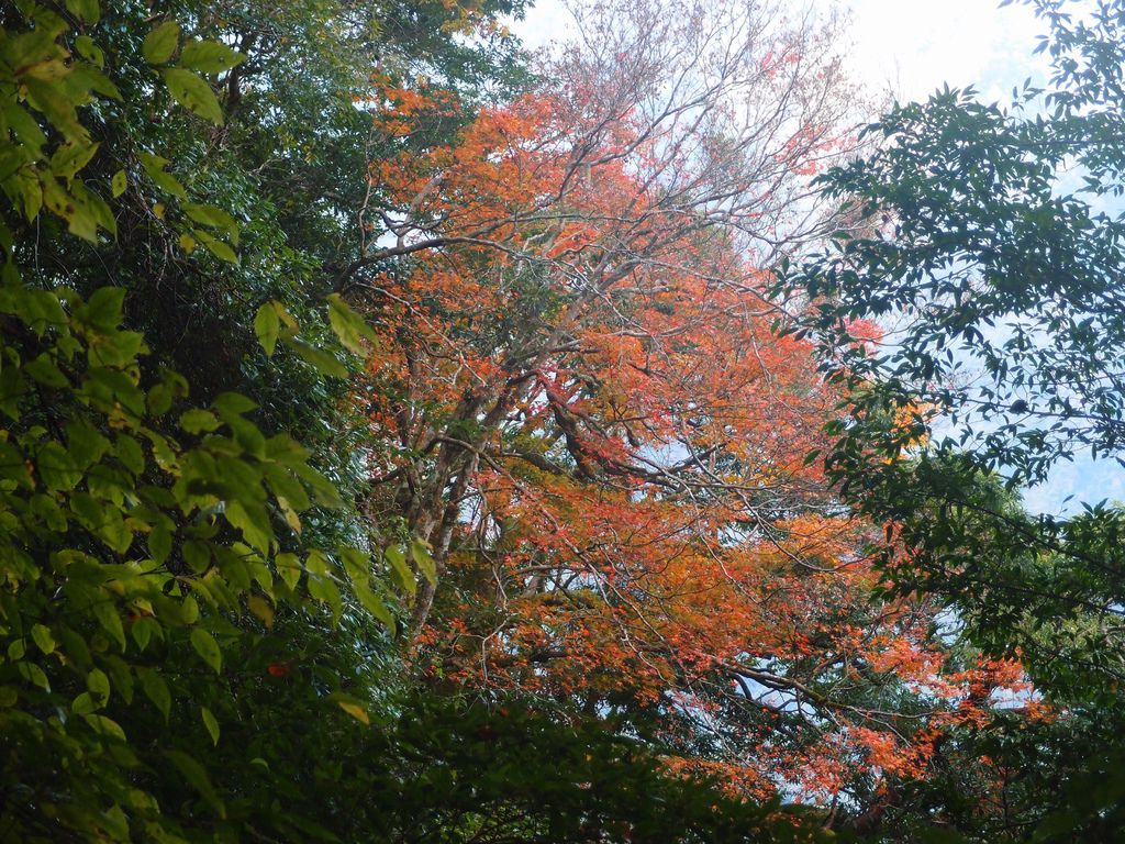 PC213625.JPG PC213625.JPG