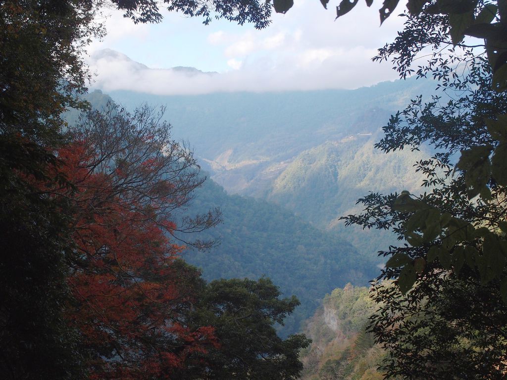 PC213633.JPG PC213633.JPG