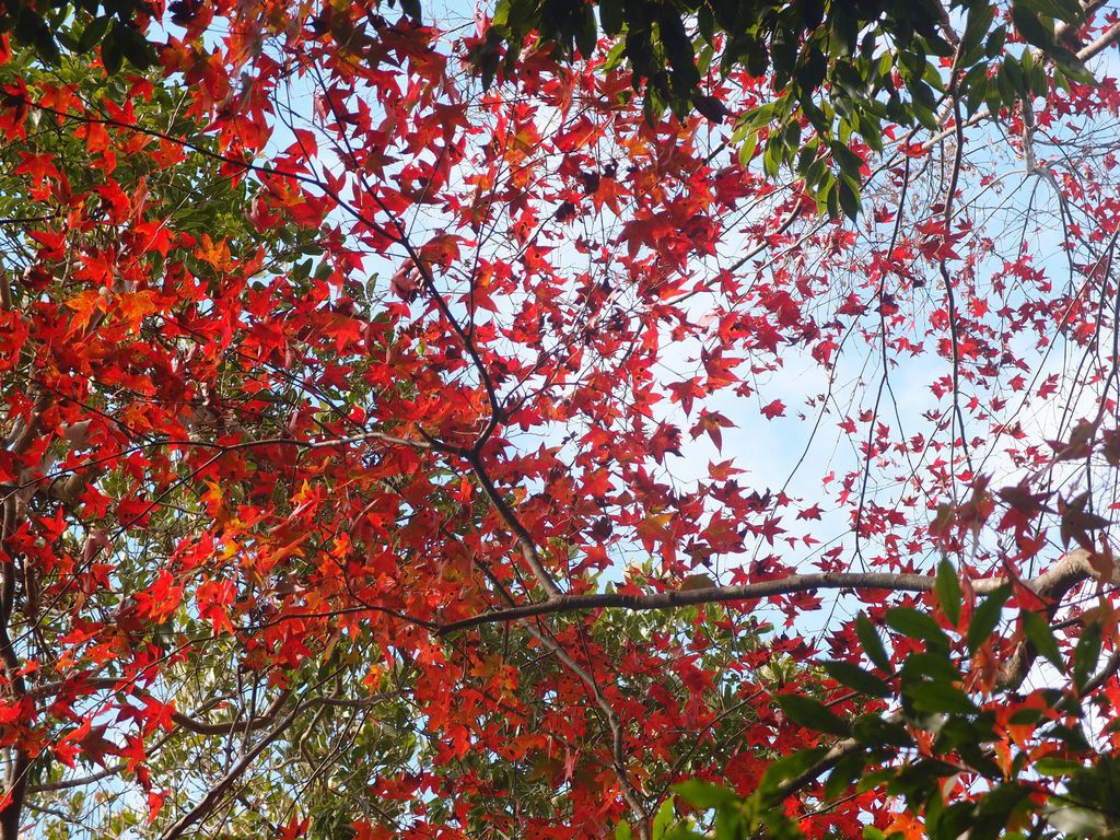 PC213641.JPG PC213641.JPG