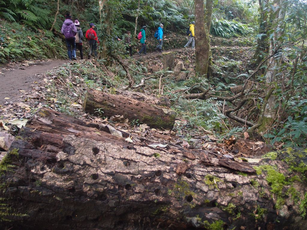 PC213651.JPG PC213651.JPG