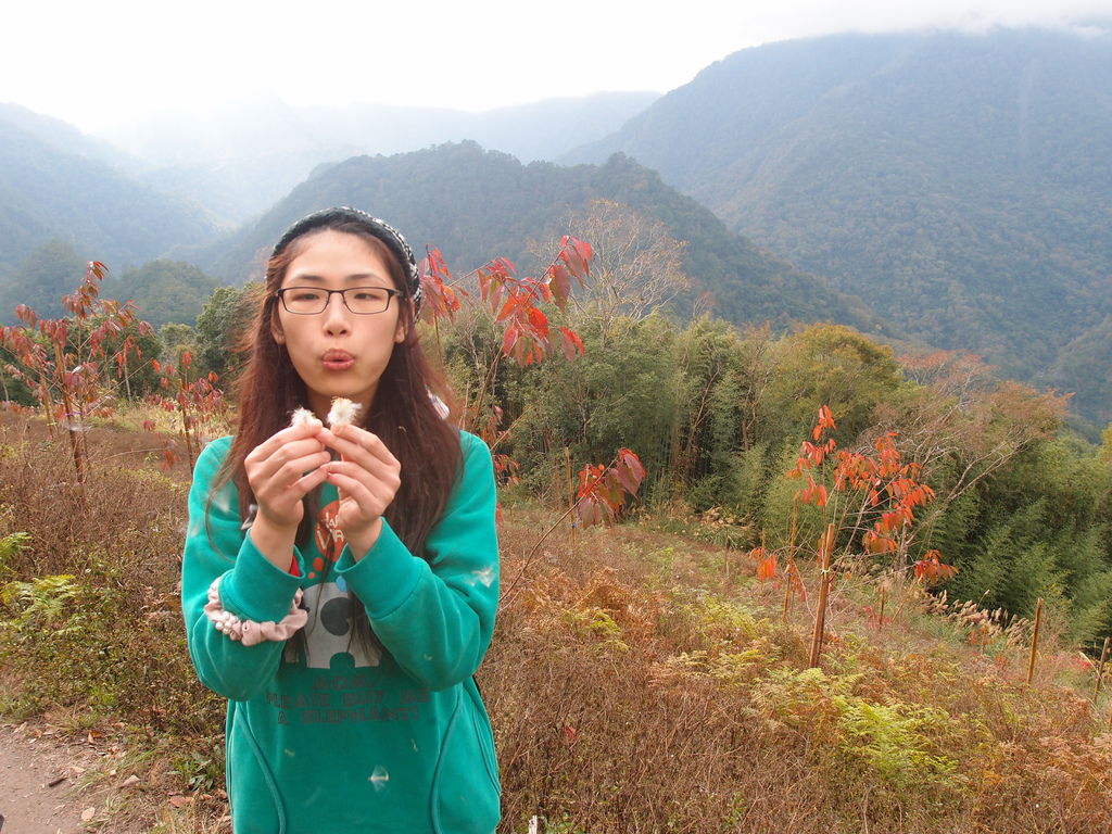 PC213660.JPG PC213660.JPG