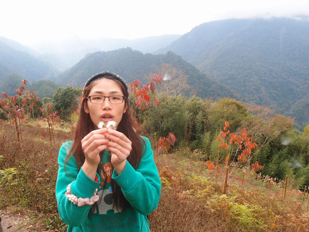 PC213661.JPG PC213661.JPG