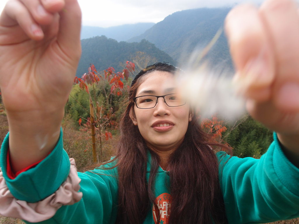 PC213662.JPG PC213662.JPG