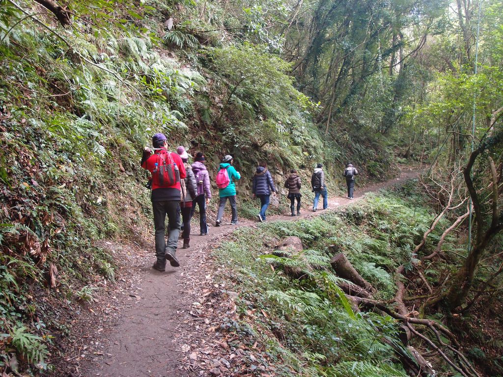 PC213668.JPG PC213668.JPG