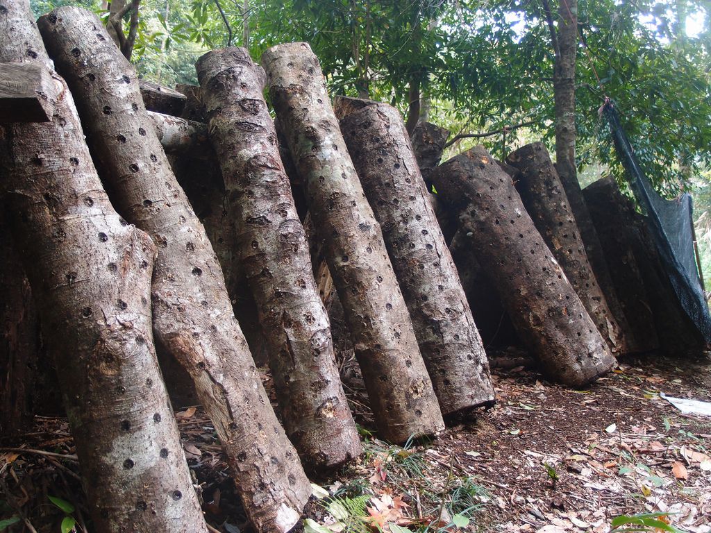 PC213672.JPG PC213672.JPG