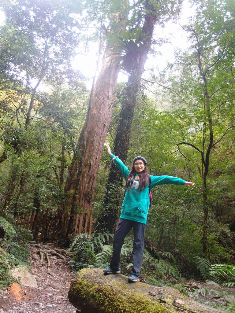 PC213687.JPG PC213687.JPG