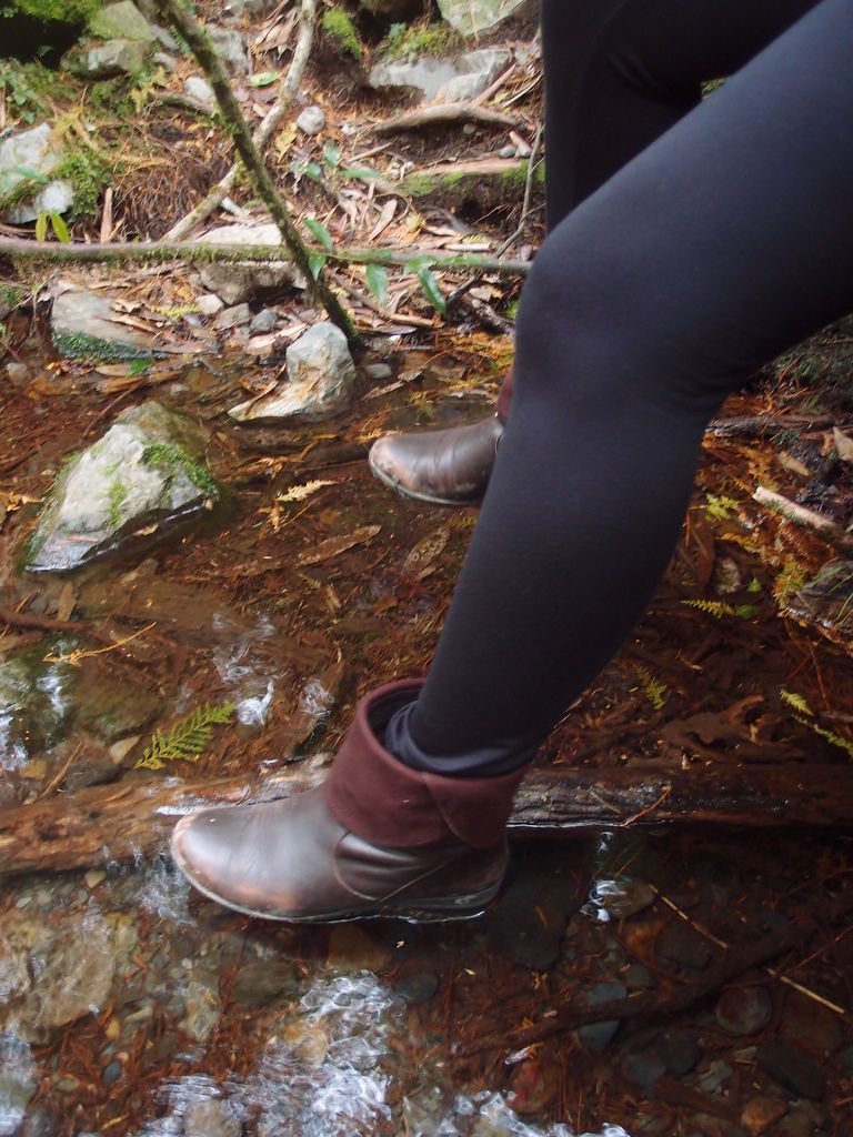 PC213698.JPG PC213698.JPG