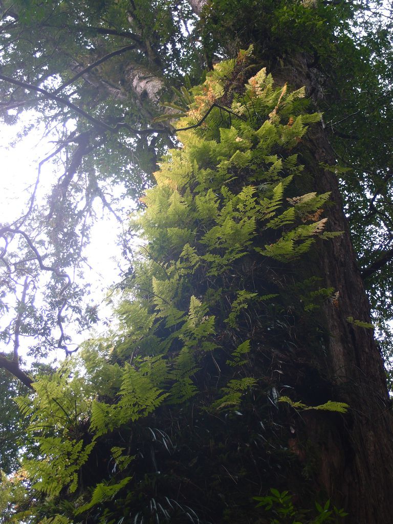 PC213719.JPG PC213719.JPG