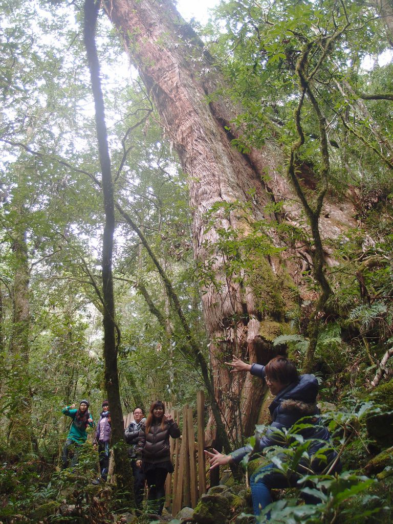 PC213732.JPG PC213732.JPG