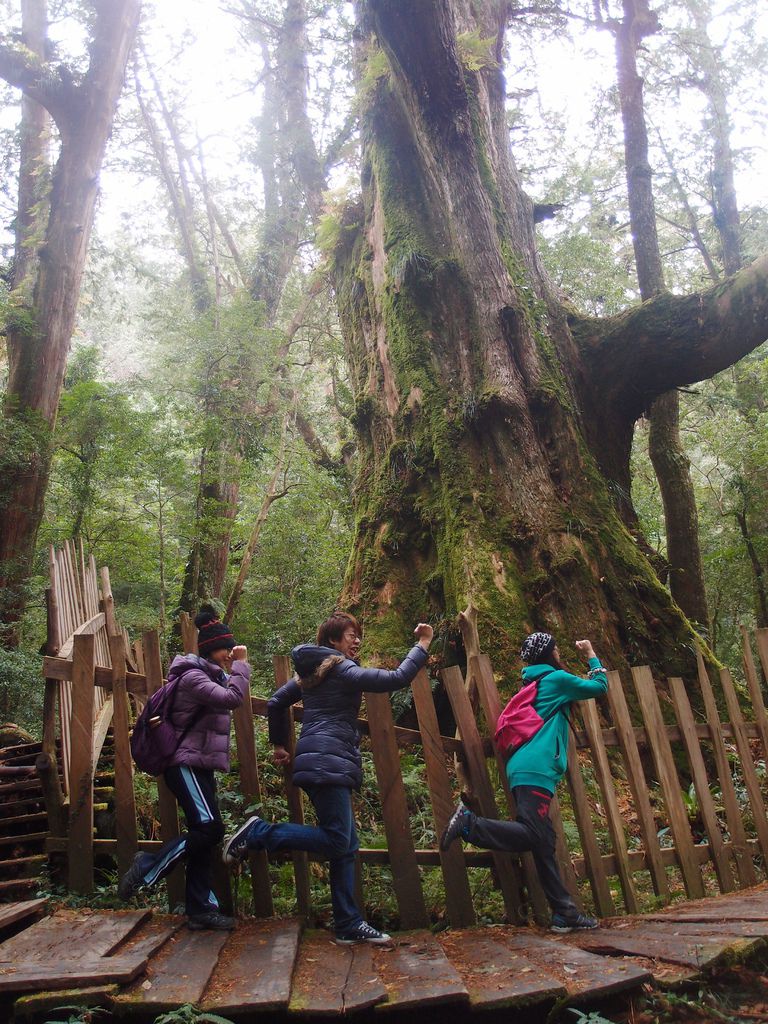 PC213756.JPG PC213756.JPG